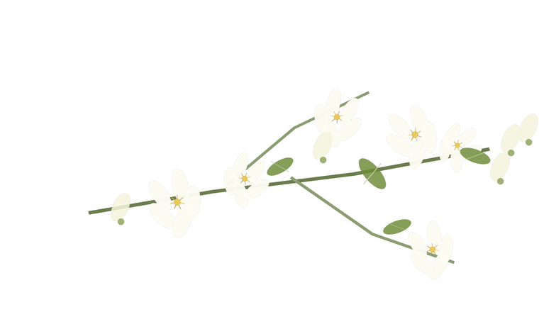 Jasmine branch note placeholder