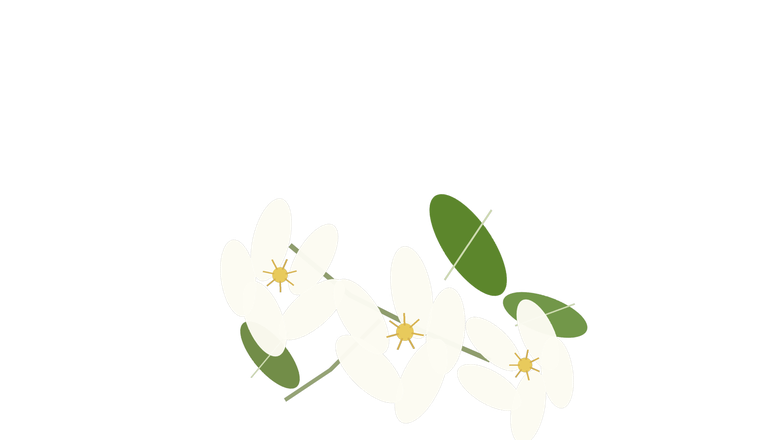 White floral note placeholder