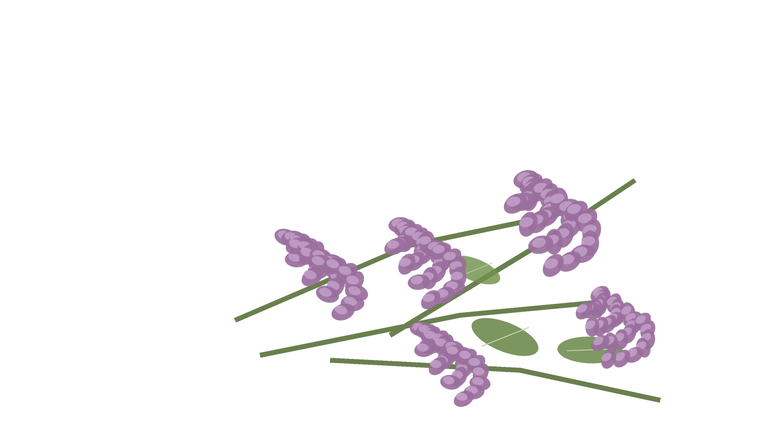 Herbal note placeholder